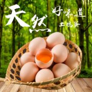 PLUS会员！ 味小梓 精品农家土鸡蛋 40枚