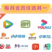 限地区、SUPER会员：爱奇艺/腾讯/优酷 一年会员 任选其一 每月随心换