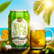 美茵古堡 啤酒 流行版 330ml*6罐