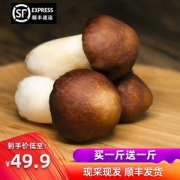 豫菇芝缘 新鲜赤松茸 2斤