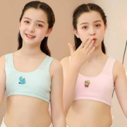 【新疆棉2件】发育期双层女童背心