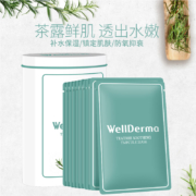 韩国进口 WellDerma 梦蜗 茶树水润精华面膜 10片