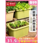 爱丽思 阳台种菜花盆