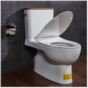 KOHLER 科勒 K-18643 瑞琦智纳版分体坐便器
