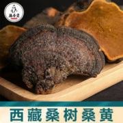 德杏堂 西藏桑黄30g