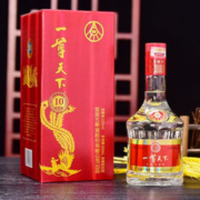 一尊天下 御藏10 52度浓香型白酒 500mL*2瓶