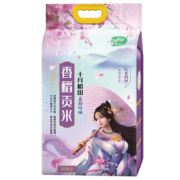 聚划算百亿补贴：十月稻田 东北香稻贡米  5kg