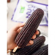 昊伟农庄 蓝莓糯玉米棒 10根2000g