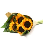 现采现发！漫自然 云南向日葵鲜花 5支