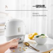 2人家用！CHANGHONG 长虹 FB12-T35 电饭煲 1.2L