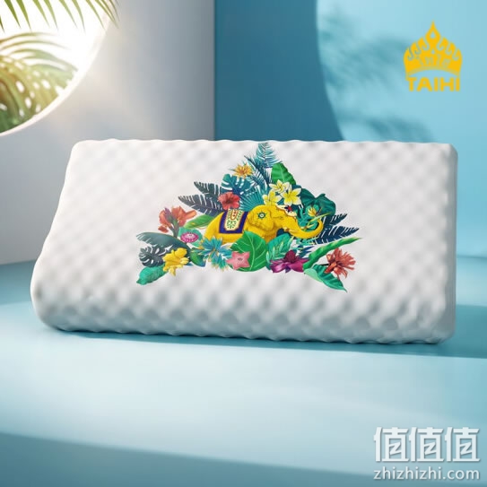 泰嗨(TAIHI) 天然乳胶枕头