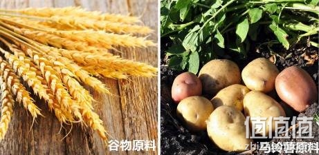 伏特加酒选购指南