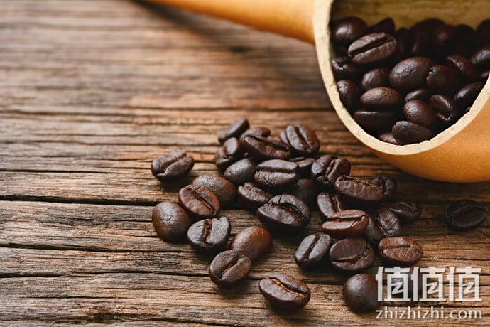 浓缩咖啡粉选购指南