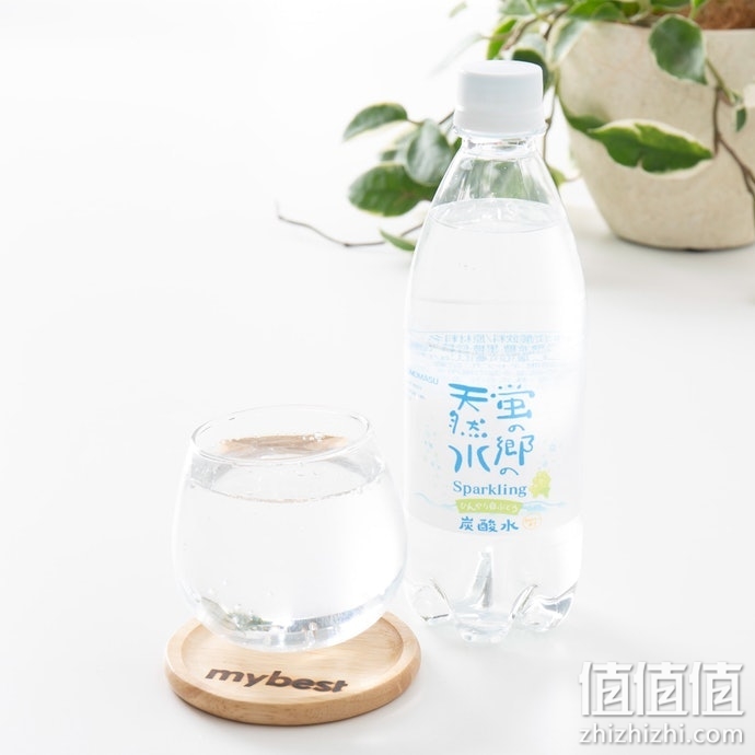 气泡水选购指南