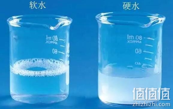 气泡水选购指南