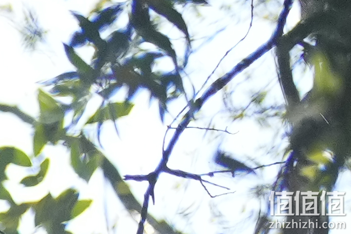 Sony FE 50mm F1.2 GM 人像定焦镜评测 索尼镜头制造技术的展现
