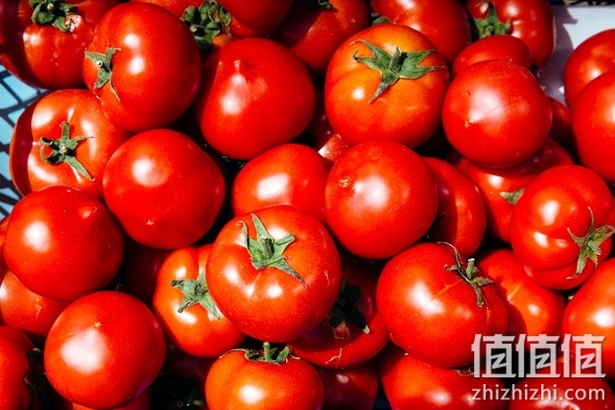 西红柿选购指南