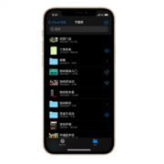 Apple 苹果 iPhone 12 Pro 5G智能手机 256GB 国家宝藏定制礼盒套装