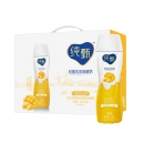 MENGNIU 蒙牛 纯甄芒果芝士味酸奶 230g*10瓶*2件