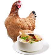 肉质细嫩！仓帝 农家三黄走地土鸡 约700g