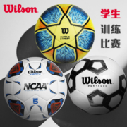 Wilson 威尔胜 WTE9941 欧洲杯继承者2代5号足球