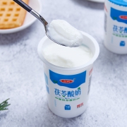 SANYUAN 三元 原味 150g*8杯