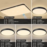 FSL 佛山照明 满天星 简约艺术吸顶灯 四室一厅
