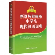 小学生现代汉语词典