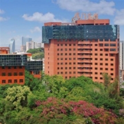 周末/端午不加价！厦门宾馆 高级景观房2晚（含早餐+双人植物园门票）