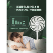 先锋 专利9叶柔风电风扇