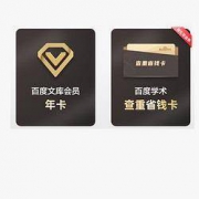 百度文库VIP会员12个月 送论文查重省钱卡