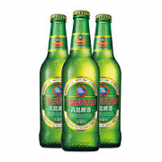 1日0点！TSINGTAO 青岛啤酒 经典11度 330ml*24瓶