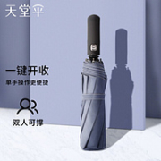 Paradise 天堂伞 全自动伞 10骨 58cm 兰灰