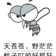 夏季驱蚊单品惠总：推荐十款人气驱蚊单品优惠