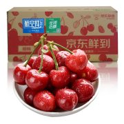 PLUS会员：唐鲜生 大樱桃 净重5斤