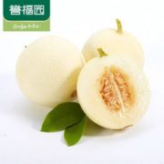 誉福园 新鲜陕西阎良甜瓜香瓜 3斤/约4个