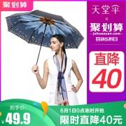 61开门红预告：Paradise 天堂伞 8骨 森系 晴雨伞