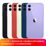 Apple 苹果 iPhone 12 5G智能手机 64GB