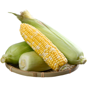 仁丰祥 云南金银 水果玉米9斤