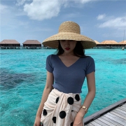 2021春夏新款内搭韩版薄款针织短袖女