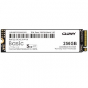 GLOWAY 光威 Basic系列 M.2 NVMe 固态硬盘 256GB