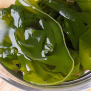 白菜价：逸知鲜 新鲜半干盐渍裙带菜 2400g