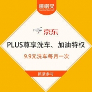 促销活动：京东 PLUS车主福利 9.9元洗车每月一次 100-10加油券每月2张