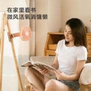 Airmate 艾美特 AH10 台夹两用可充电USB小风扇