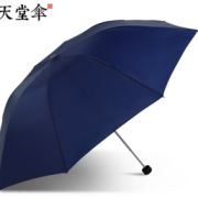 26日0点！Paradise 天堂伞 8骨晴雨伞 藏青 9.9元包邮