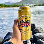 值哭！毛里求斯进口，Monde Selection金牌：500mlx12听 Phoenix Beer 凤凰黄啤酒