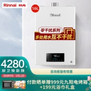 Rinnai 林内 JSQ31-D06 燃气热水器 16L 天然气