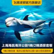 上海滴水湖假日酒店 高级房1-2晚+海昌海洋公园门票 2晚可加购迪士尼门票