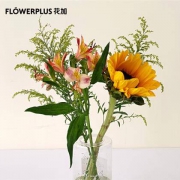 plus会员：FlowerPlus 花加 简约混合鲜花 向日葵1枝+黄莺2枝+香槟色六出1枝