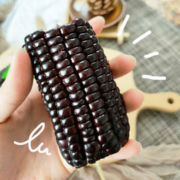 绅迪佳 黑糯玉米 250g*8根真空装